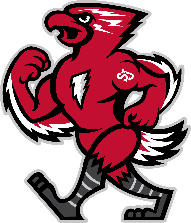 St. John's Red Storm 2013-2015 Mascot Logo diy DTF decal sticker